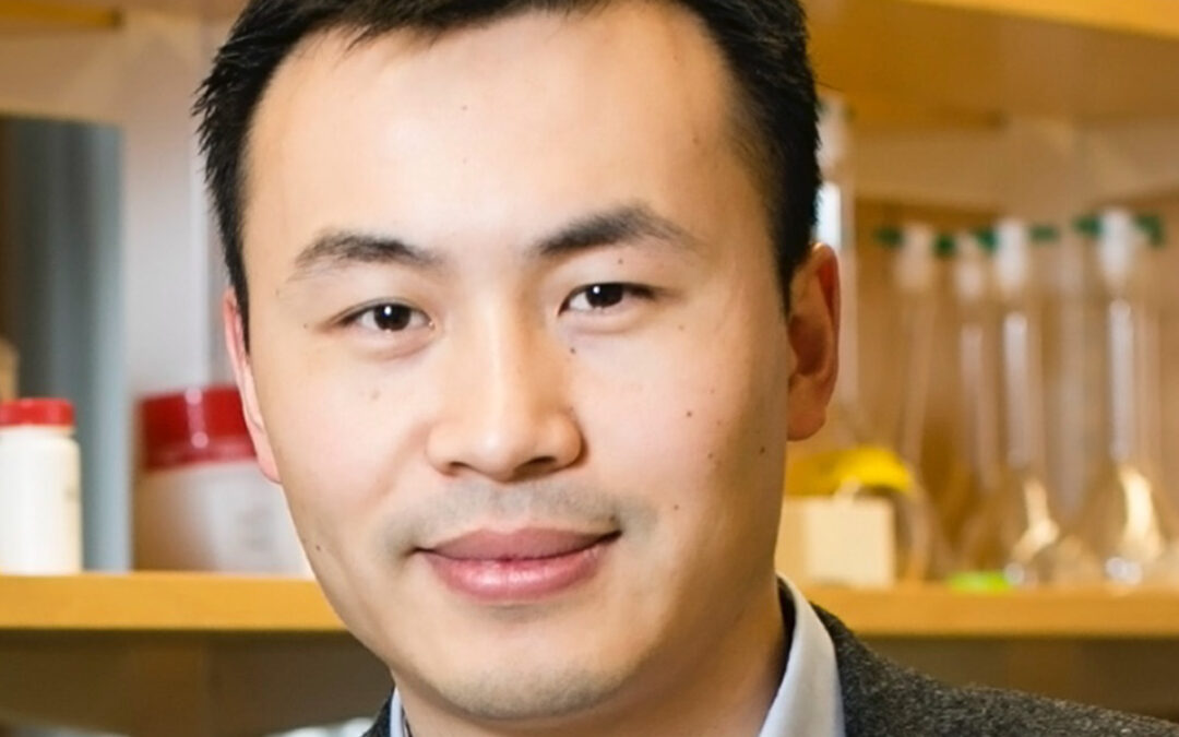 Dong Kong, PhD